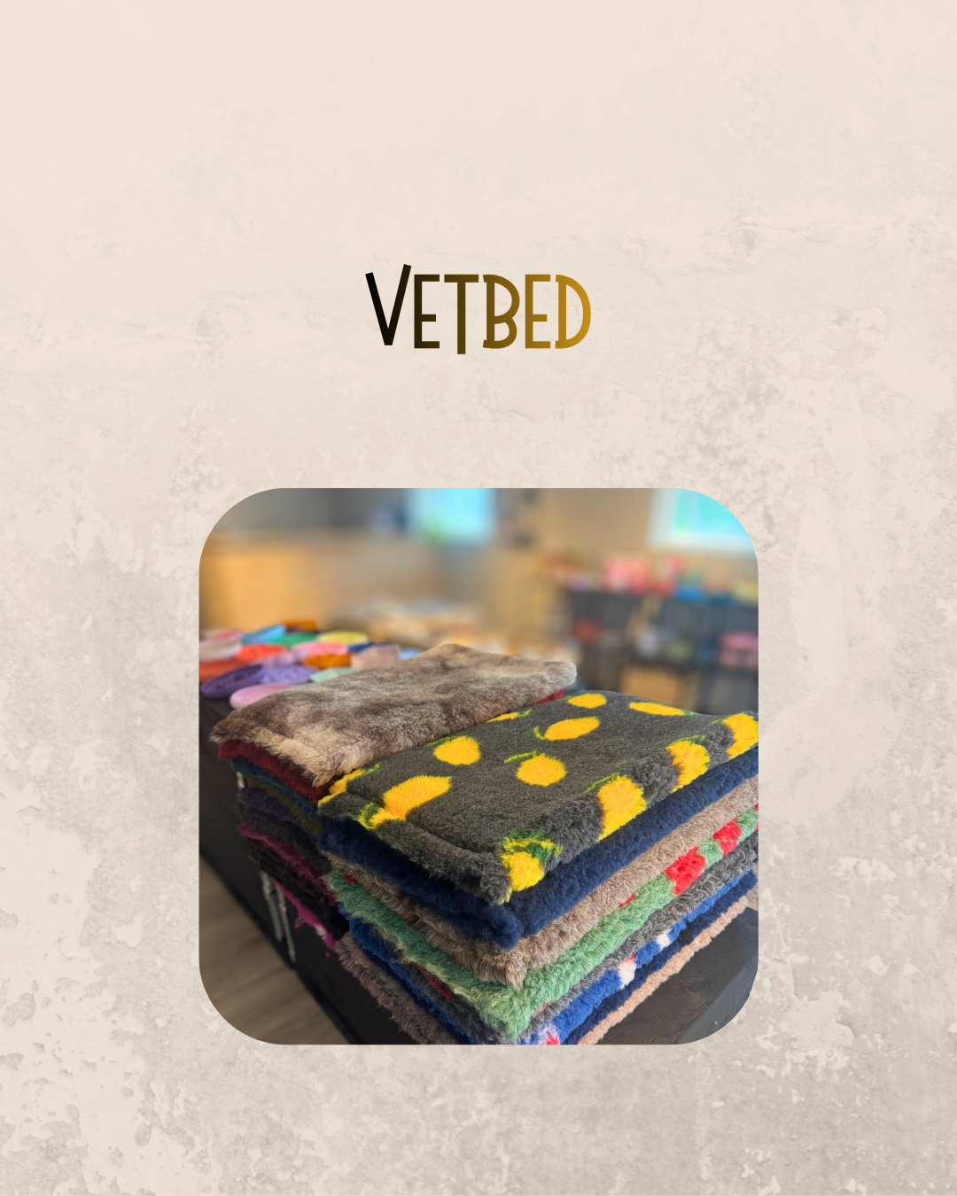 VETBED