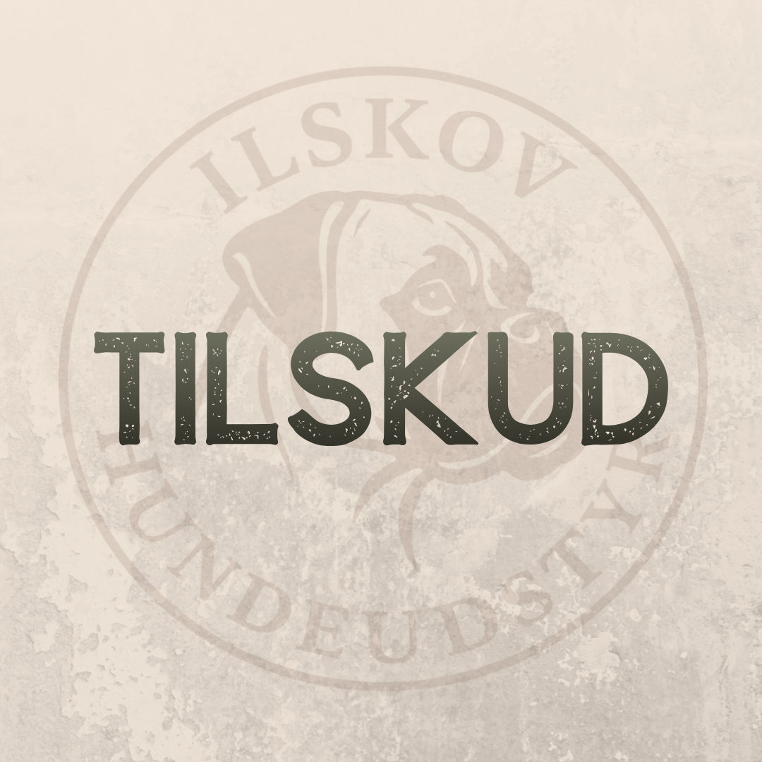 Tilskud