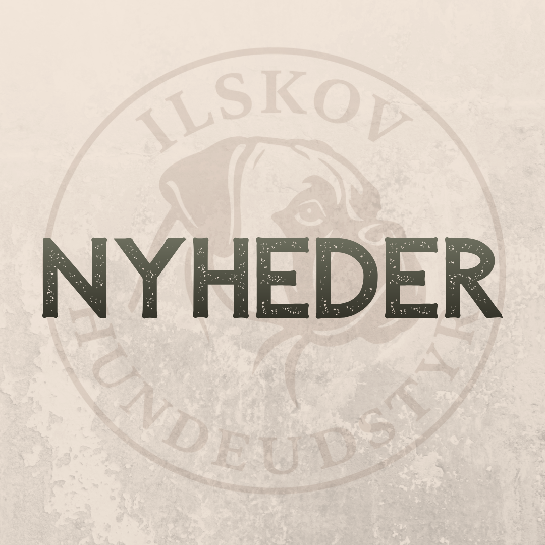 Nyheder
