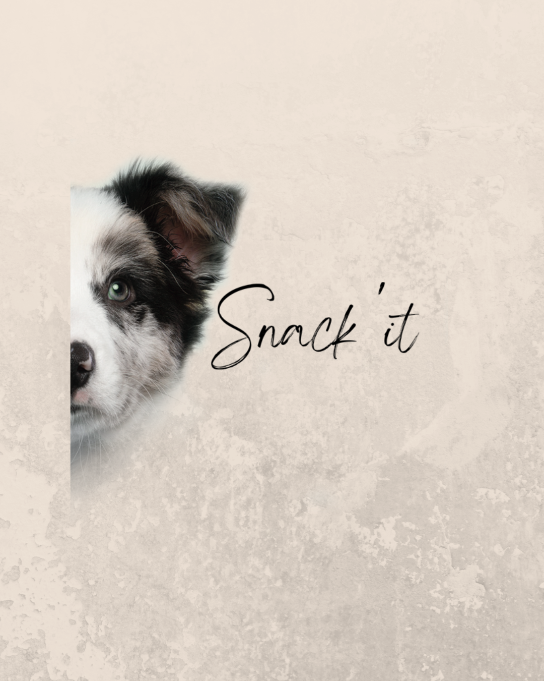 Snack' it