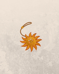 Sunny Ray