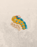 Clara the Caterpillar