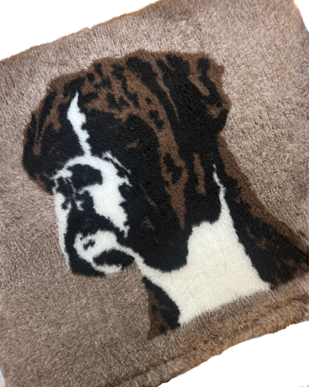 VETBED Boxer