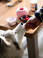 INOOKO Yoomy Donut (blå)